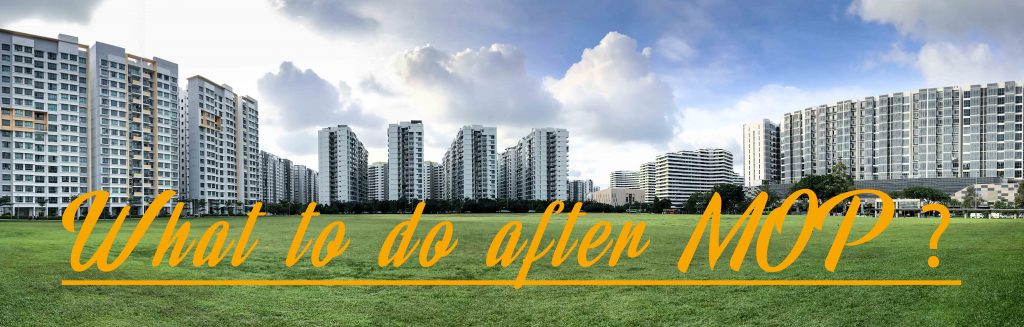 what-to-do-after-mop