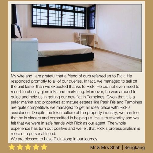 singapore best realtor